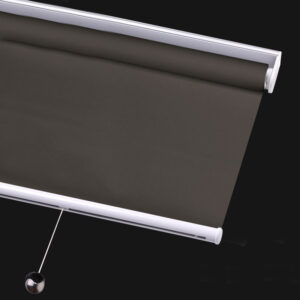 Spring Roller Blind